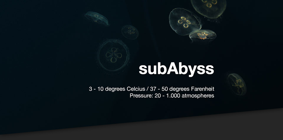 Sub–Abyss